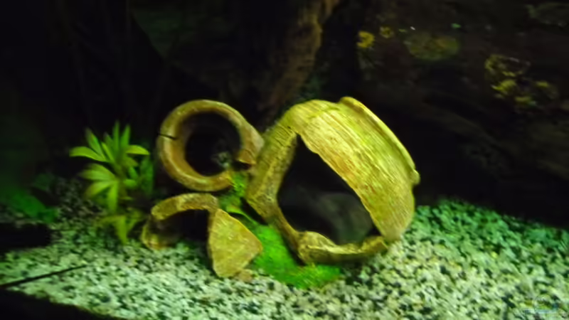 Krüge von Ruppinho (22)