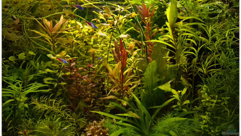 Kuddelmuddel halt von hotwheelz (23)