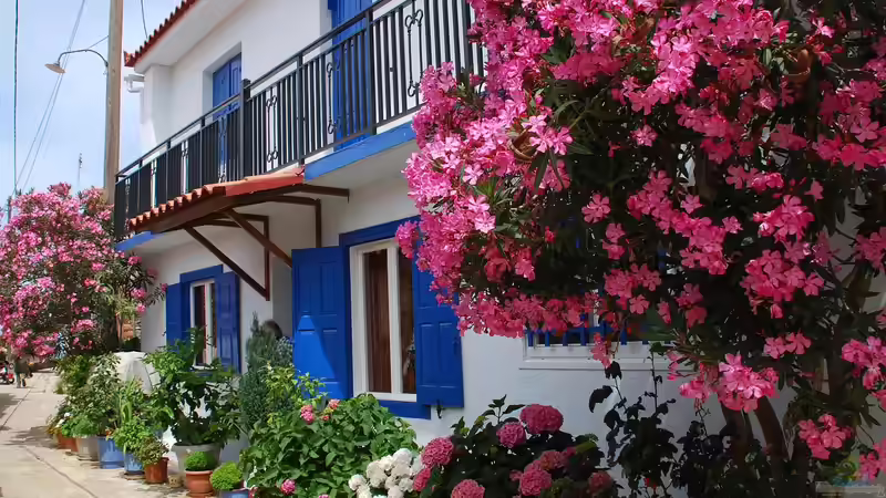 Kübelpflanzen jetzt kräftigen: Sommerpflege für einen gesunden Winter