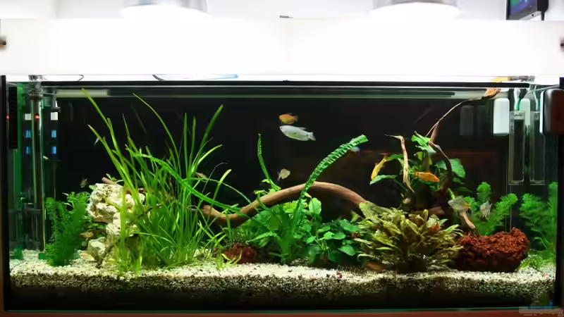 Küchenseite 20.2.2011 von hirschjäger (10)