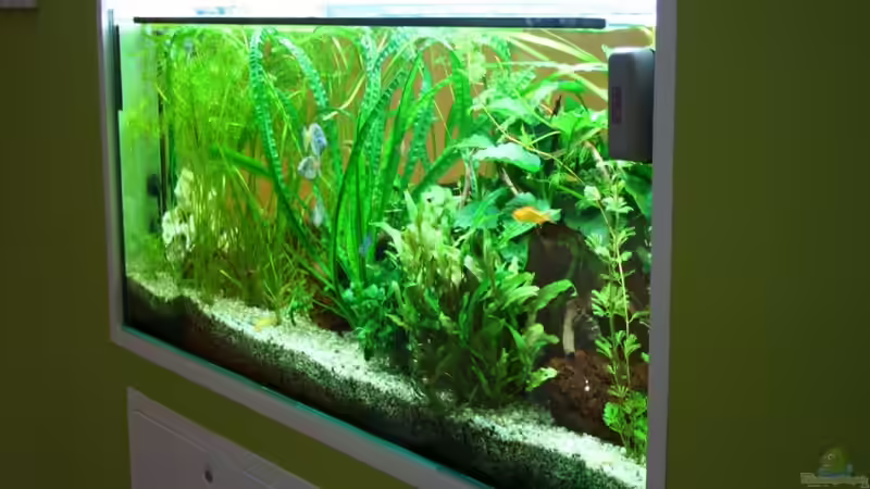 Küchenseite 20.9.2011 von hirschjäger (18)