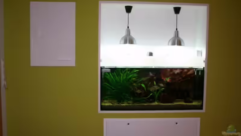 Küchenseite 24.5.2008 von hirschjäger (3)