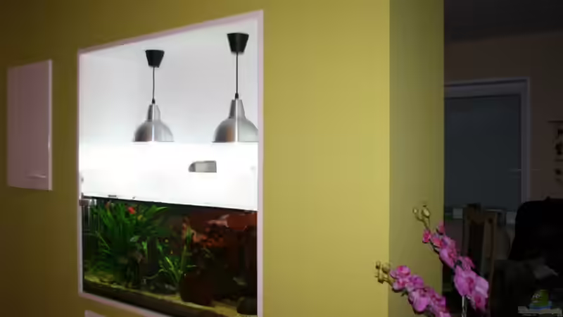 Küchenseite 24.5.2008 von hirschjäger (4)