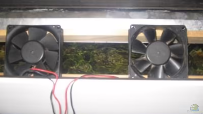 Kühler von Mathias Schlett (21)