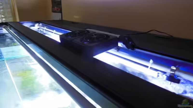 Einrichtungsbeispiele für Aquarien mit Kühlung