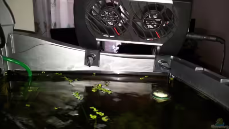 Kühlung im Sommer mit JBL Cooler 100 von Kathrin77 (37)