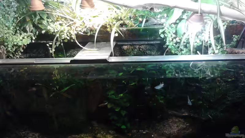 Kühlwasserbecken von Wasserstern ALK (2)