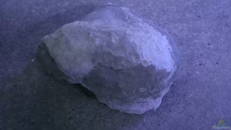 künstliche Felsen aus Sand und Portlandzement von Dirk Friebe (8)