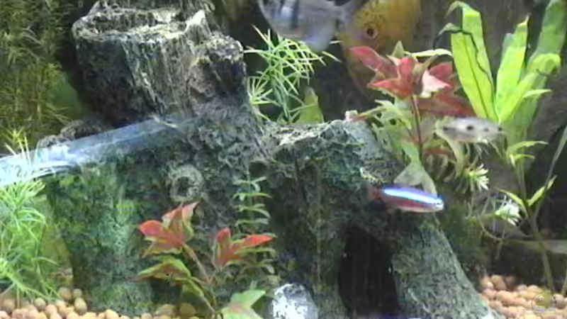 künstliche Felsenhöhle von Hobytomy (7)