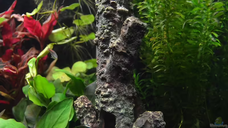 künstliche Höhle von DonTango (15)