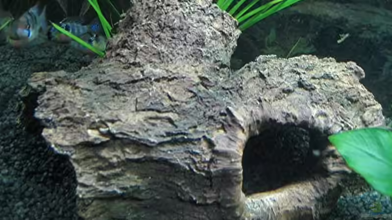 künstliche Holzrindenhöhle von Andrea Wiegard (9)