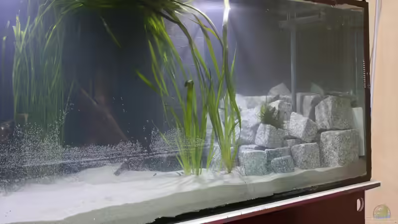 künstliche Uferbefestigung von Fishers Friend (11)