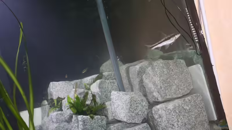 Künstliche Uferbefestigung von Fishers Friend (12)