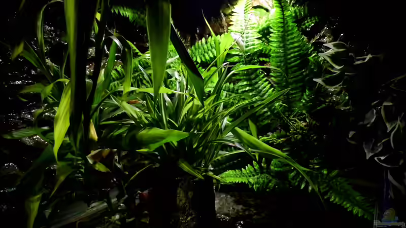 Künstlicher Farn - kann entfernt werden , wenn man an die Technik muss von snooze (36)