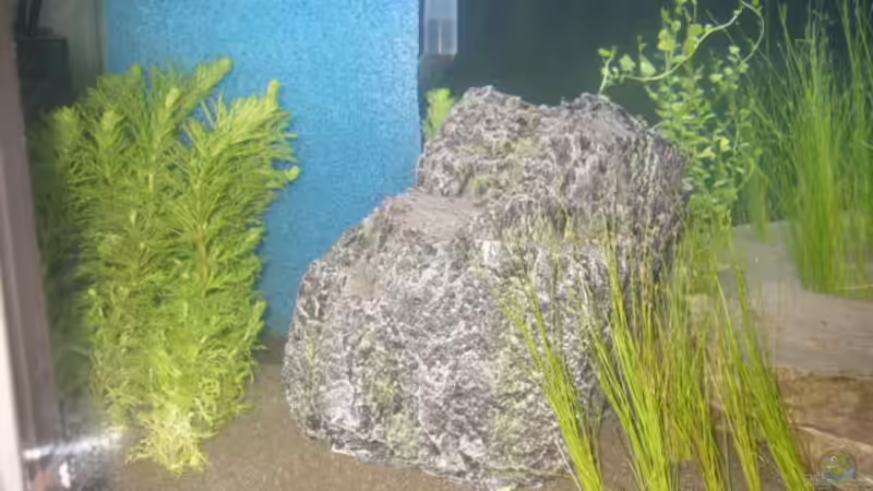 künstlicher stein mit höhleneingang von Oliver Gursky (6)