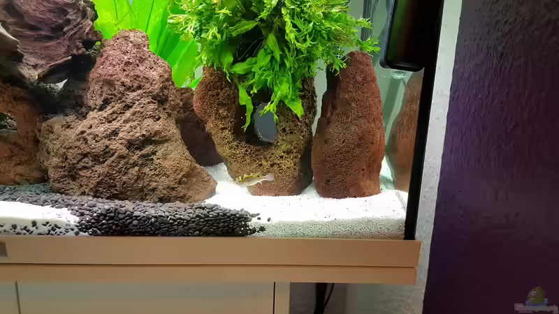 Kufi :) von Nordlicht Ka (3)