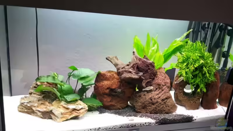 Kufi Becken von Nordlicht Ka (1)