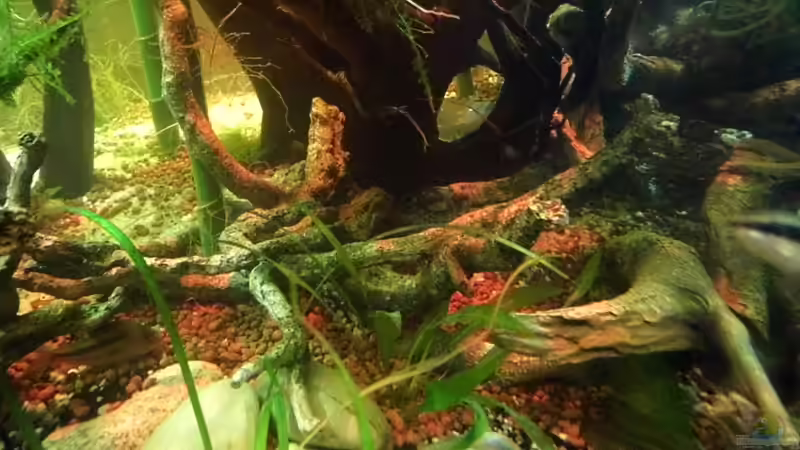 Kunst und Moorwurzeln  von snooze (7)