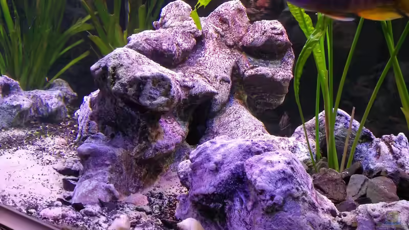 Kunstfelsen von Irzzz (14)