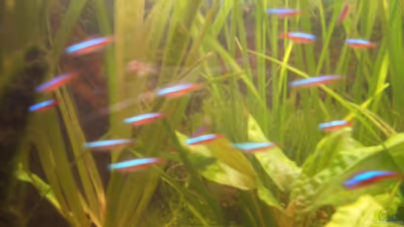 Kunstobjekt Neon von Sirko Fricke (9)