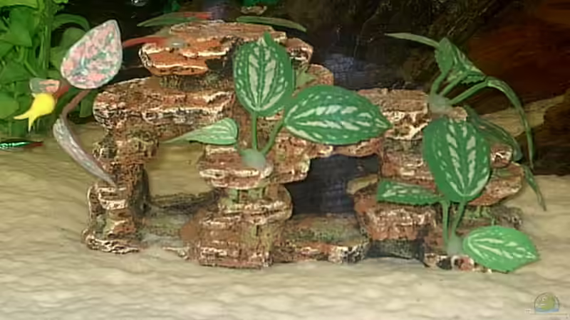 Kunststein mit Kunstpflanzen. von Robert Schröder (7)