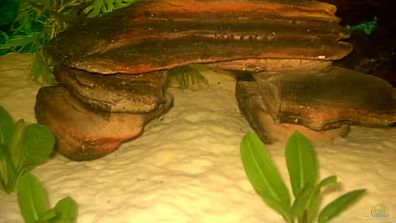 Kunststein von Robert Schröder (6)