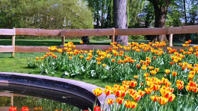Kunststoff Gartenzaun: Funktionalität trifft Ästhetik im Garten mit Teich