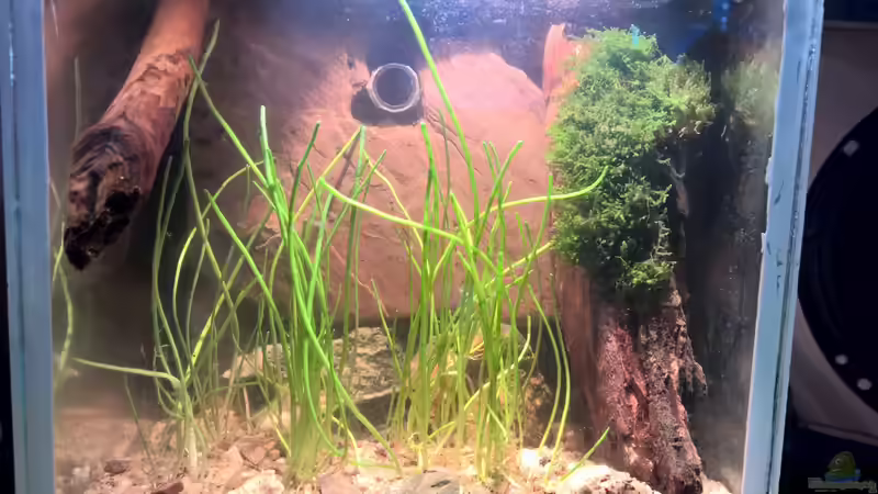 Kurz nach dem Einrichten von Martin L. (6)