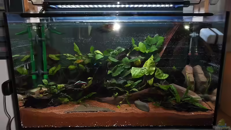 kurz nach dem Einrichten von Ralf-Uwe Hedderich (4)