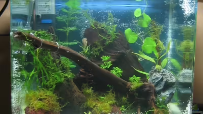 Kurz nach dem Einrichten von Silvia (3)