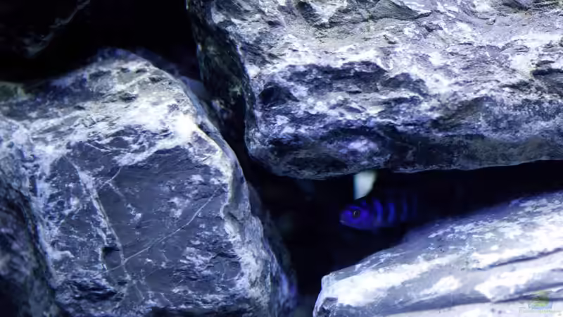 Kurz nach dem Einzug von Erik H. (27)