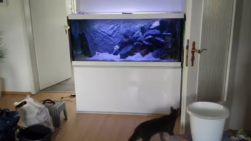 kurz nach der Befüllung von redieh (12)