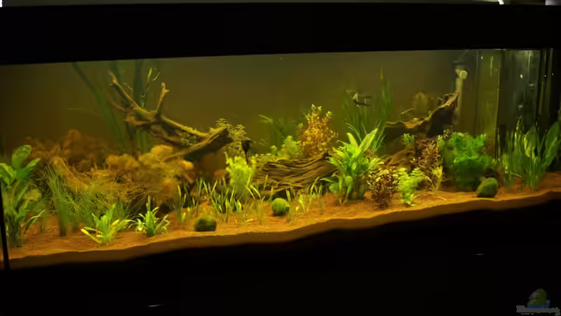 Kurz nach der Einlaufphase von Sven Schneider