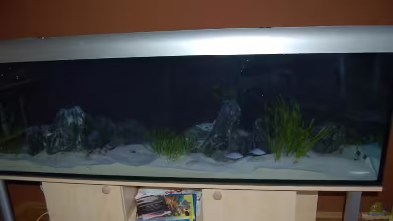 Kurz nach der Einrichtung, noch etwas trüb von Calimero (1)