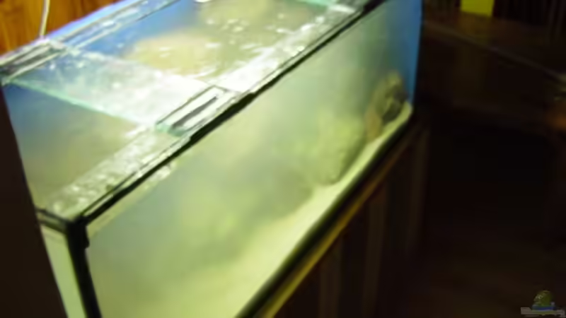 Kurz nach der Einrichtung. von Tim Andresen (3)