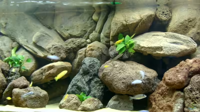 kurz nach der Einrichtung März 2005 von Roland Elsenbruch (11)