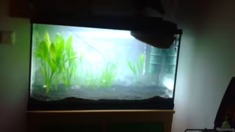 Kurz nach der Einrichtung von DerChrischi (4)