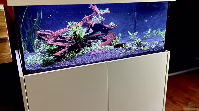 Kurz nach der Einrichtung von Tim1979 (5)