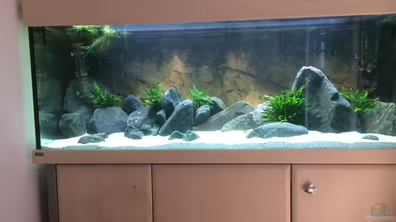 Kurz nach der Ersteinrichtung von Elanco72 (12)