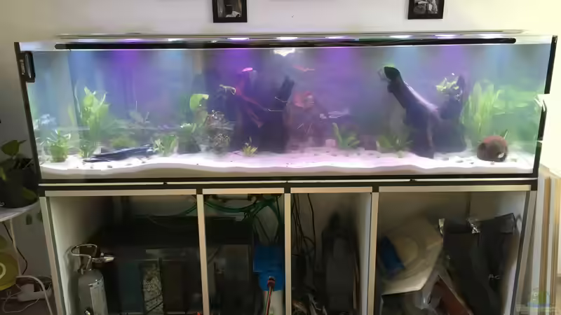 Kurz nach der ersten Füllung von stroelly (7)