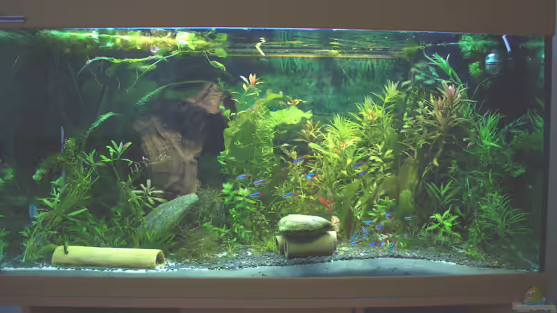 Kurz nach der Inbetriebnahme von hotwheelz (2)