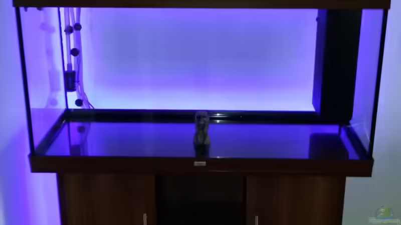 kurz nach der Lieferung am neuen Standort aufgebaut und erste Technik installiert von Sebastian Hartmann (50)