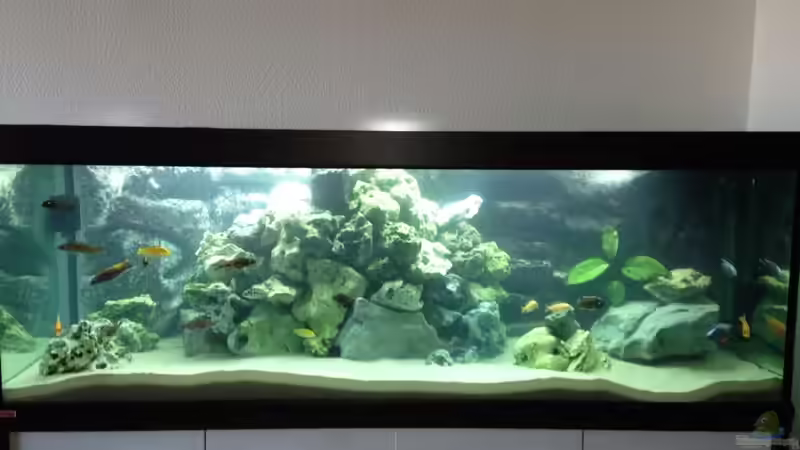 Kurz nach der Neugestaltung von KaZe (2)