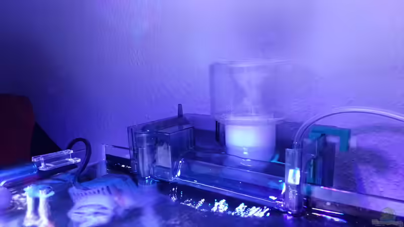 Kurz nach einrichtung von BenoN (32)