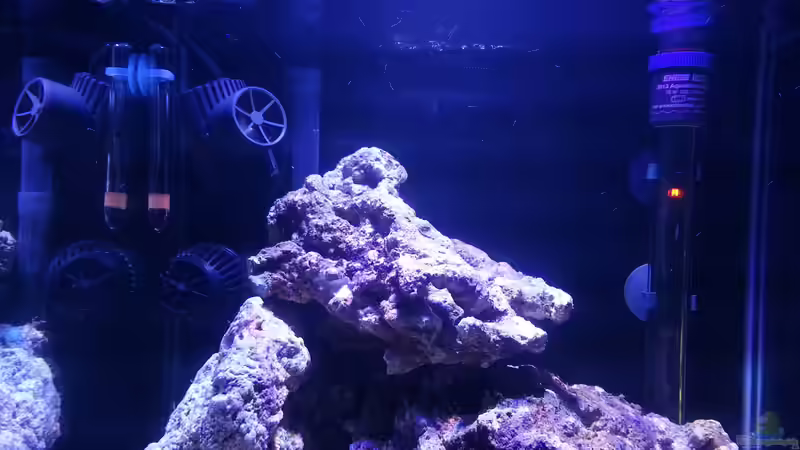 Kurz nach einrichtung von BenoN (33)