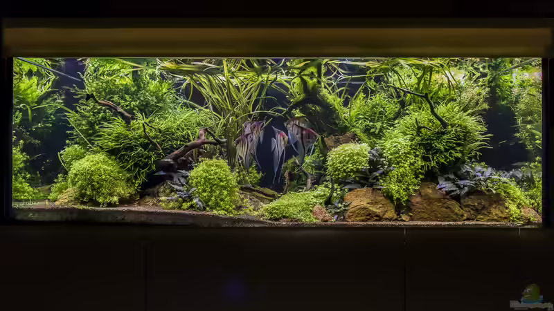 Kurz nach ´Sonnenaufgang´ von JARB (14)