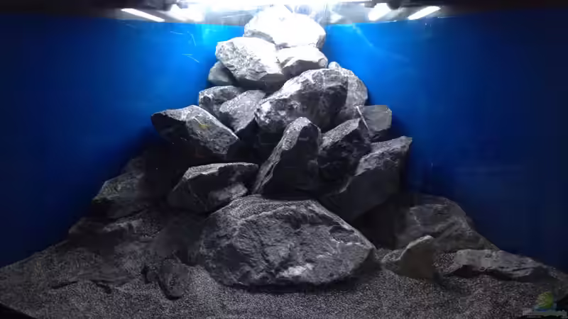 kurz vor dem Befüllen am 31.01.2014 von Bodenseechris (2)