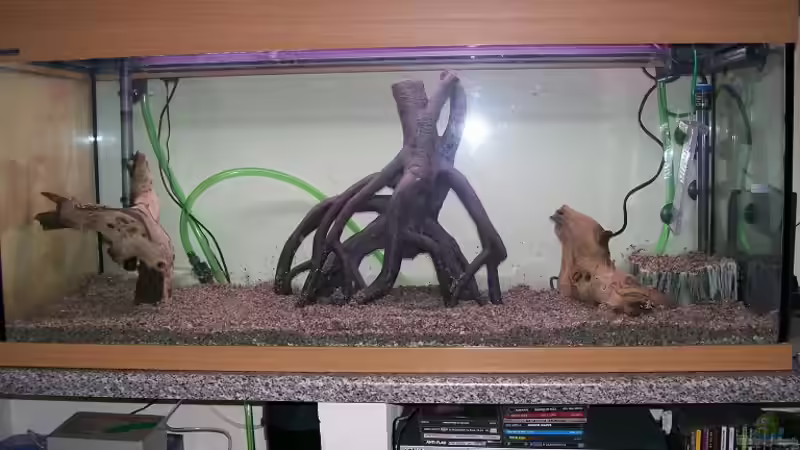 kurz vor dem einfüllen des Wassers von Theo Heimann (2)