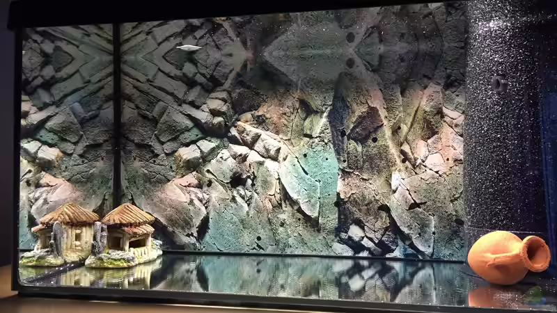 Kurz vor der Einrichtung / Rechts HMF von Jojo und Haileyümchen (5)