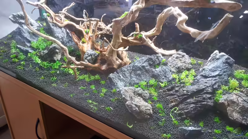 Kurz vorm befüllen.die letzen arbeiten wie pflanzen setzen und technik installieren von Panamericana85 (2)